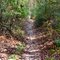Allaire State Park