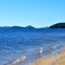 Quabbin View