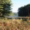View of Pottapaug Pond in what was once Dana, MA - Quabbin Reservoir Watershed