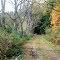 Ancient Road in Quabbin Reservation
