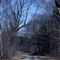 On Dana Road