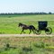 REVERTING TO THE PAST,KANSAS,USA . -(AMISH  BUGGY,LIFE STYLE)