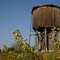 Water Tower at Beaumont