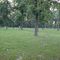 Nauvoo Graveyard