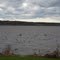 Mississippi River between Navoo and Hamilton, IL