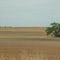 2011, Sitka, KS, USA - along Rte 183