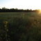 Lawrence Sunset