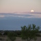 Mutt Run Moonrise