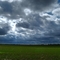 Kansas Field