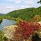 Northside Trough Run Overlook
