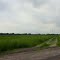 Larue Farm Site, Stotesbury MO
