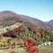Smokies in fall color