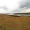 Carnahan Creek. Top of hill.