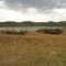 Carnahan Creek. Top of hill.