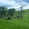 Carnahan Creek Park