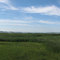 Quivira Wildlife Refuge from birding tower