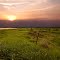 Prairie Sunset
