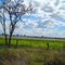 Rota 28: Paisagem rural - Araguari-MG