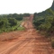 Estrada