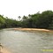 Medonho