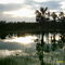 Lagoa do Medonho