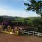 FAZENDA SÃO SEBASTIÃO