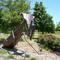 Giant Praying Mantis; Wichita,KS