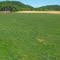 Virginia Creeper Trail