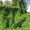 US 58 near Damascus, VA, the "Kudzu Highway"