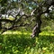 Renoir:Die Erde war das Paradies der Goetter,Corrego Do Rodrigo, Properties: www.brazilianbeach.com.br