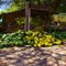  Fruitmarket,Melon,Fruits,Nimra Mhad,   http://nimra-mhad.jimdo.com/