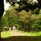 Parque Buracão