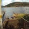 Barragem do Bituri, Belo Jardim e suas hortas