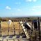 Paisagem rural são-bentense: Campo Limpo