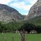 Fazenda Samambaia - Botumirim