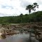 Rio Noruégua