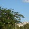 VISTA A PARTIR DA RODOVIÁRIA-MURIAÉ-MG