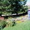 Janet's Garden