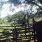 Fazenda de  Chico Bracinho