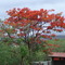 boquira