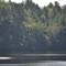 Bald Eagle over Bear Paw Lake, Wisconsin