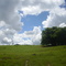 FAZENDA SAO SEBASTIAO