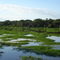 Caminhos de água - Water ways