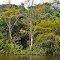 Brasilien - Amazonas