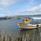 Ponta do Curral