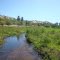 Brook in the Indian Reservation – Jenipapo-Kaninde tribe
