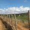 Riacho Conceição - Itaguá - CE