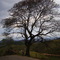 PÉ DA SERRA
