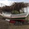 Barco Novo