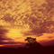 Pôr do sol